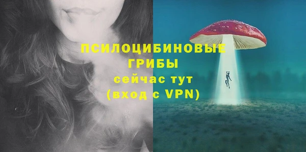 первитин Балахна