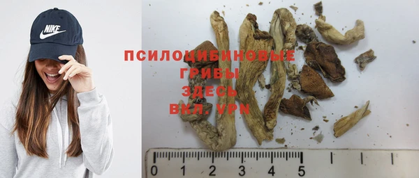 каннабис Баксан