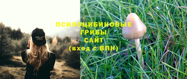 первитин Балахна