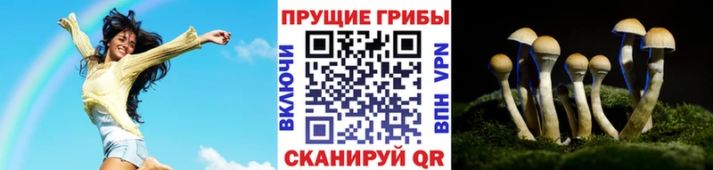 Галлюциногенные грибы мицелий  Пойковский 